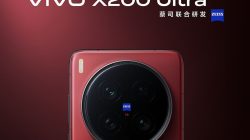 Vivo X200 Ultra Tunjukkan Taji, Saingi iPhone 16 Pro Max Lewat Uji Kamera Ultra-Wide