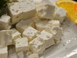 Keju Laboratorium: Revolusi Rasa atau Ancaman Kuliner?