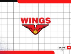 Loker Data Analyst Wings Group Batam Tahun 2025