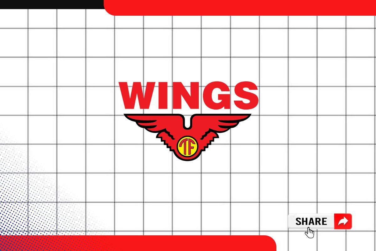 Loker Data Analyst Wings Group Pati