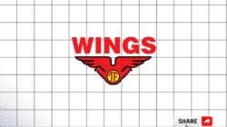 Loker Data Analyst Wings Group Sragen