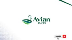 Lowongan Development Program Avia Avian Banjar