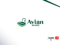 Lowongan Development Program Avia Avian Jayapura Tahun 2025 (Resmi)