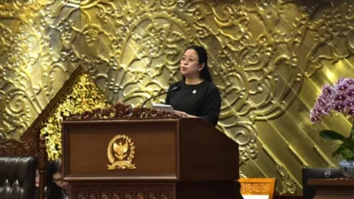 Puan Desak Investigasi Mendalam Kasus Beras Oplosan Nasional