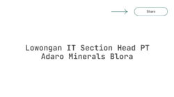 Lowongan IT Section Head PT Adaro Minerals Blora