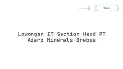 Lowongan IT Section Head PT Adaro Minerals Brebes