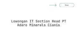 Lowongan IT Section Head PT Adaro Minerals Ciamis