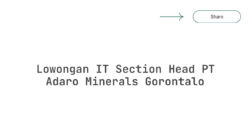 Lowongan IT Section Head PT Adaro Minerals Gorontalo