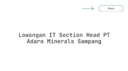 Lowongan IT Section Head PT Adaro Minerals Sampang