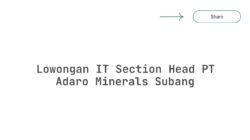 Lowongan IT Section Head PT Adaro Minerals Subang
