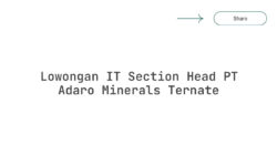 Lowongan IT Section Head PT Adaro Minerals Ternate